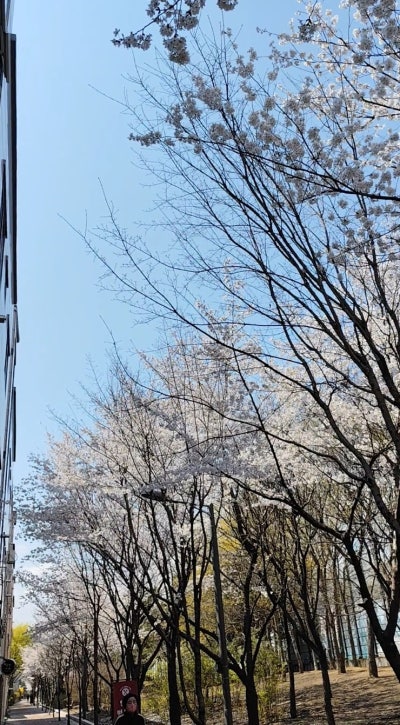 대구 뜨개질 공방  | 율하역 도보 1분, 미미살롱 율하점