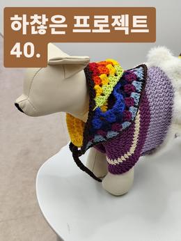 하.프 40번째 강아지케이프🐶🐶